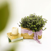 Basket w/ intricate Edges - Staple East