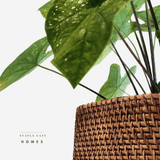 Boxo Rattan Handwoven Multi-utility - Staple East