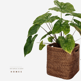 Boxo Rattan Handwoven Multi-utility - Staple East
