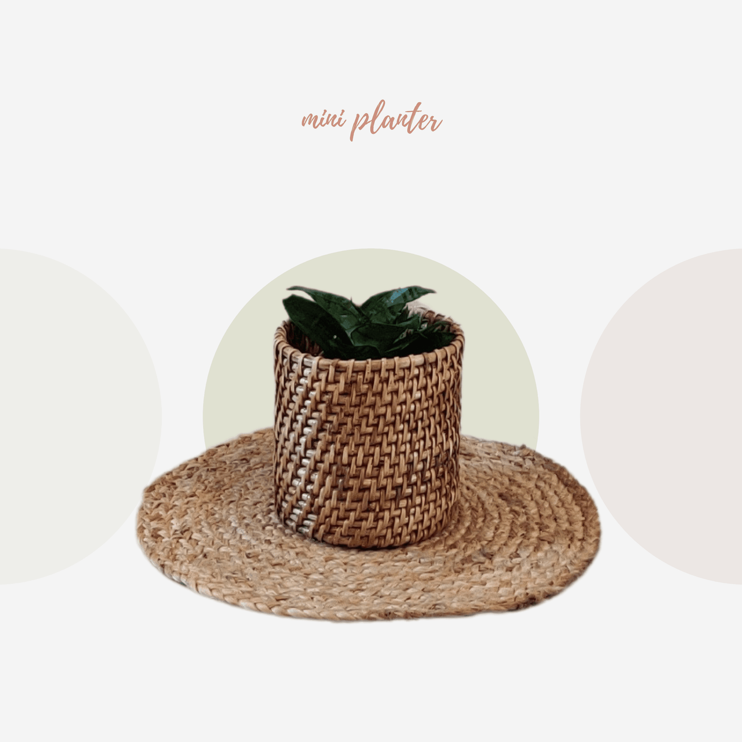 Mini Round Planter - Staple East