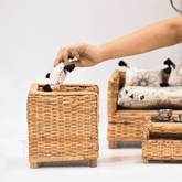 Miniature Rattan Sofa Set with upholstery - Staple East