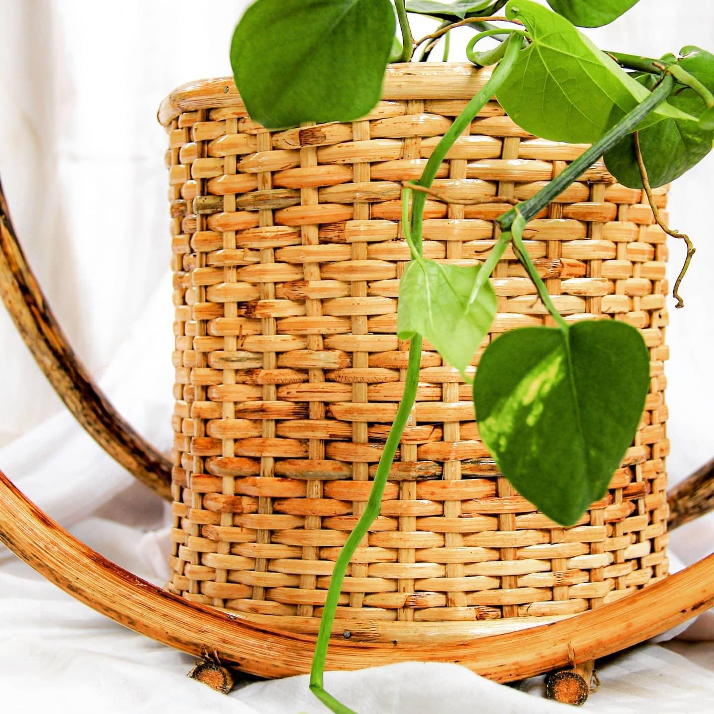 Mr. HP (Rattan Hanging Planter) - Staple East