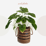 Rattan basket and rattan planter rattan storage rattan home decor