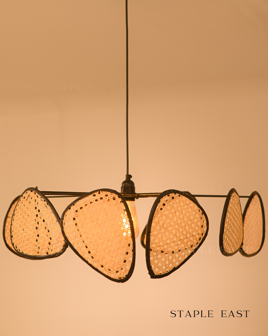 Prism Ceiling Lamp | Optical Light Effects Pendantt | Rattan Hanging lamp for Living Room