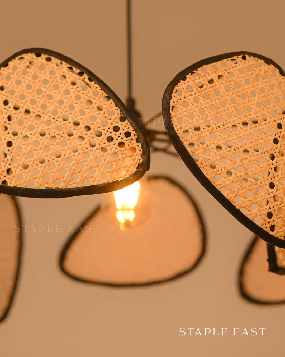 Prism Ceiling Lamp | Optical Light Effects Pendantt | Rattan Hanging lamp for Living Room