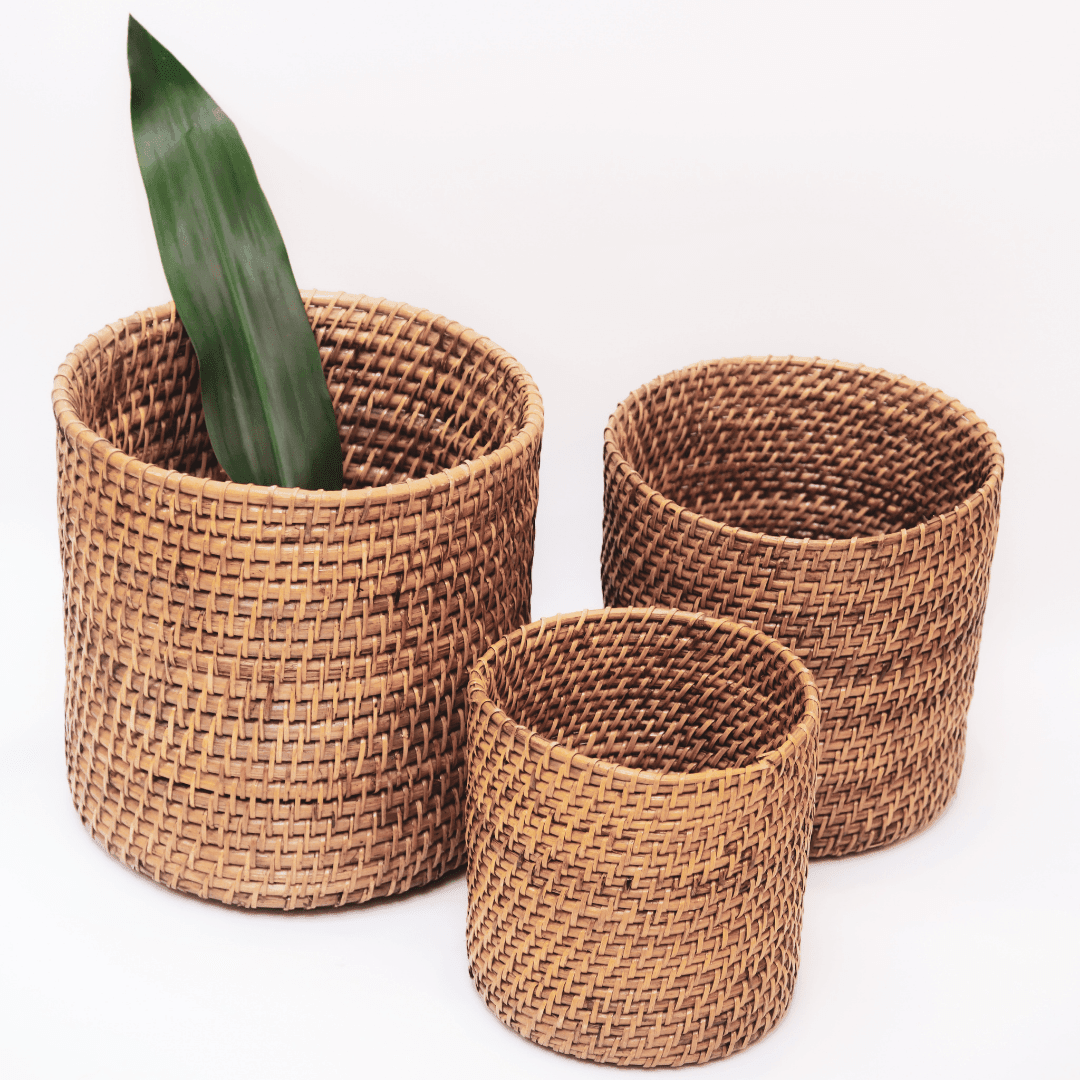 Cane Planter (Set of 3) - Staple East