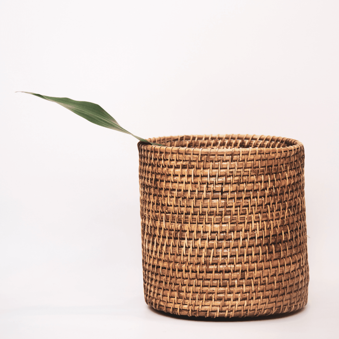 Cane Planter (Set of 3) - Staple East