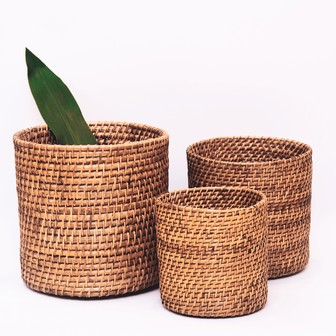 Cane Planter (Set of 3) - Staple East