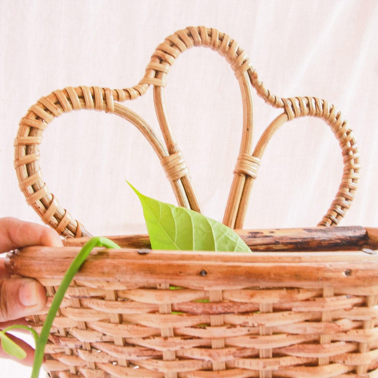 Rattan Petal Wall Planter - Staple East