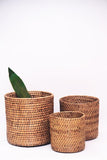 Round Planters (Set of 3) - Staple East
